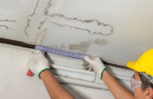 Affordable Water Damage Repair solutions in Lake, WV